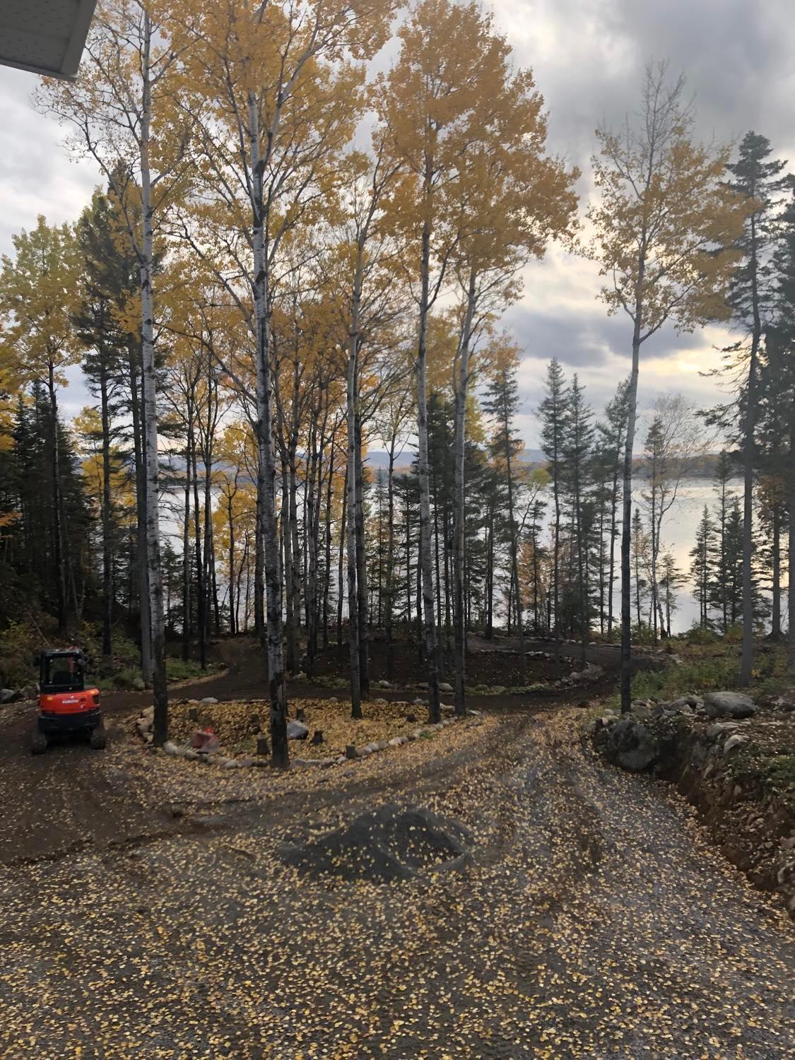 Terrain — côté gauche boisé — Lac Kénogami (secteur Larouche)